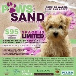 Social: Paws In The Sand To Benefit Big Dog Ranch Rescue
