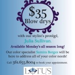 Lotus Hair Studio: $35 Blow Dry Mondays