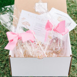 Online Shop: Palm Beach Lately’s NEW “You’ve Been Flocked” Cocktail Kit
