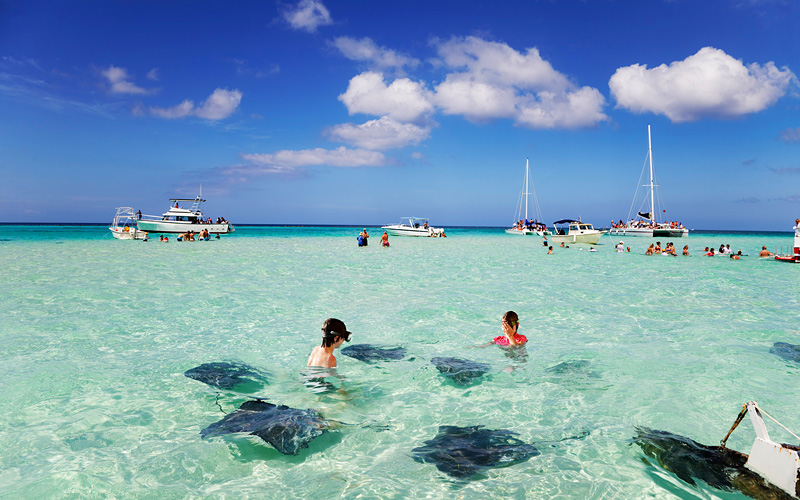 celebrity-cruises-stingrays-at-the-sandbar-off-grand-cayman-gallery