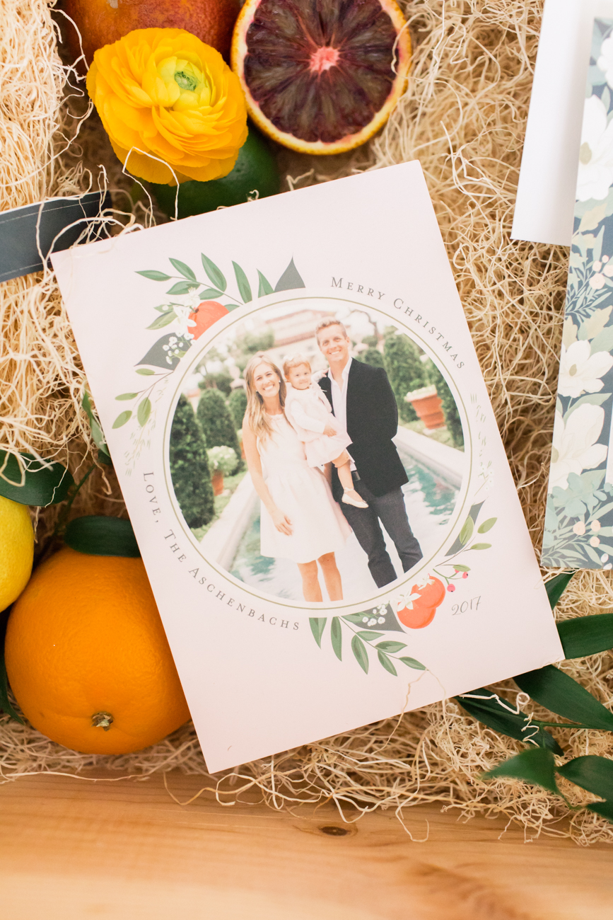 Palm Beach Lately Minted Cards 