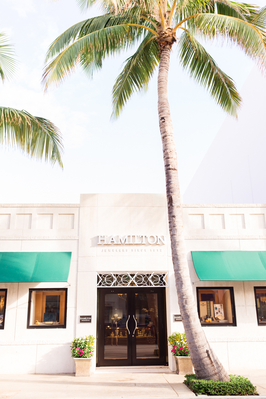 Guide to Palm Beach by Palm Beach Lately