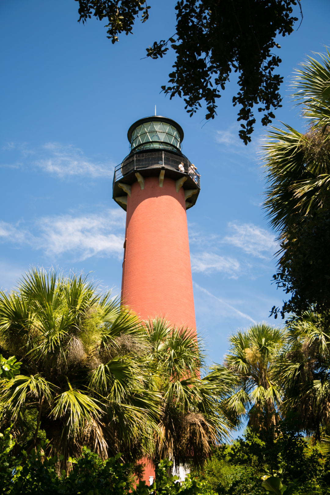 Summer Lately: Jupiter Lighthouse with Palm Beach Lately