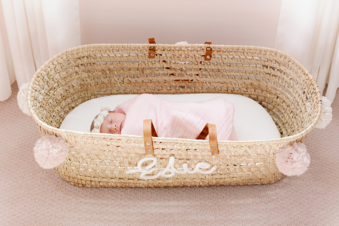 Pink and shell newborn photography