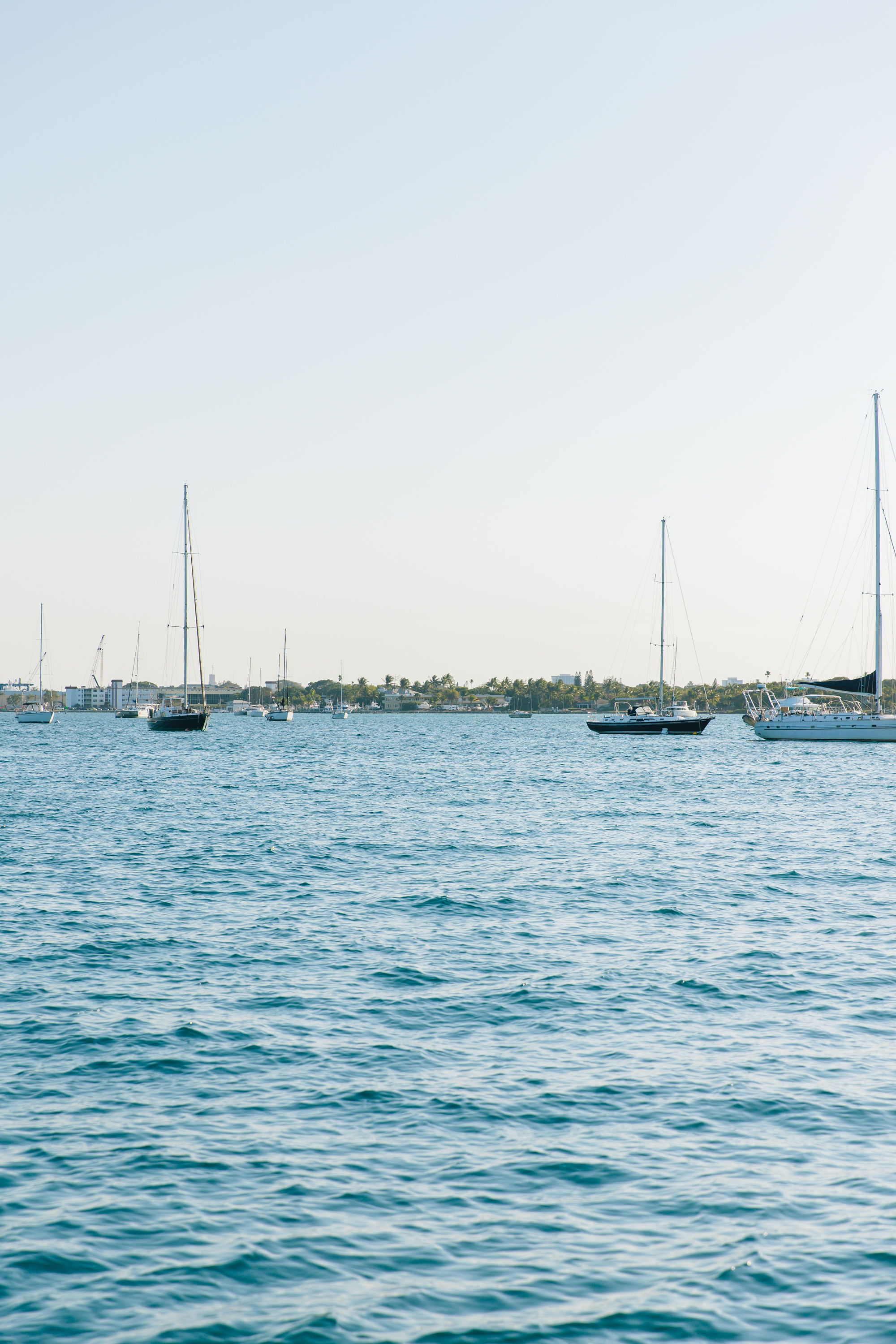 Palm Beach Lately x Hinckley Yachts