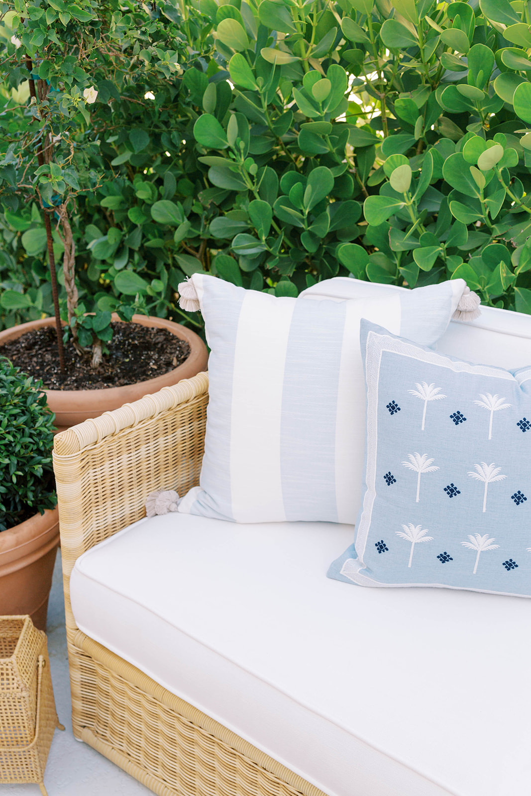 Serena and best sale lily outdoor pillows