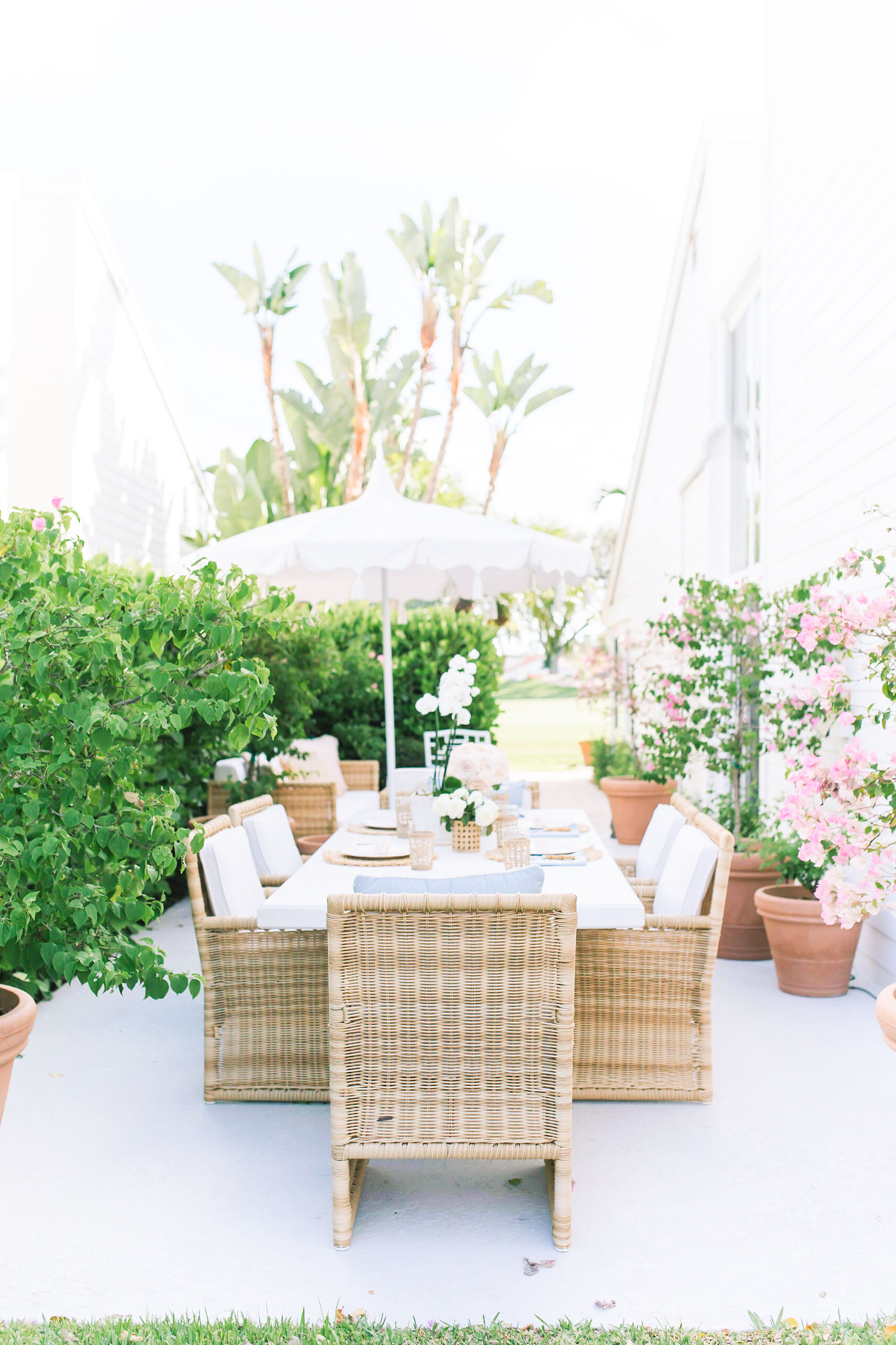 Home: Outdoor with Serena & Lily and Palm Beach Lately